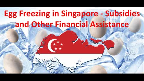 Egg Freezing Subsidies and Other Financial Assistance - Public Policy Recommendations for Singapore