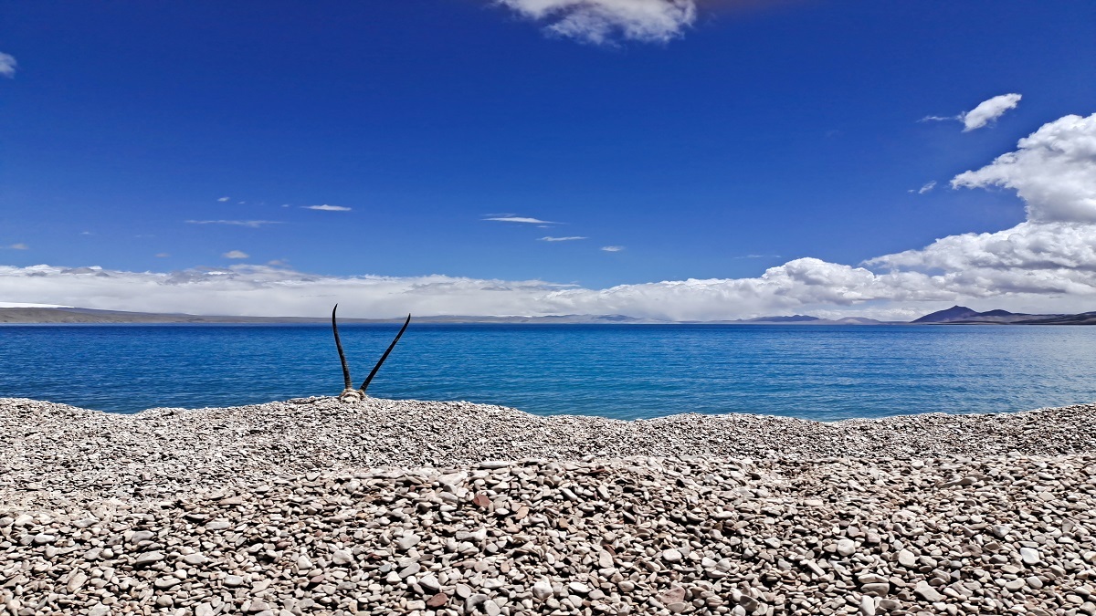 Glacier lake ecosystems are changing faster than climate on the Tibetan Plateau