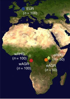 The effect of human subsistence strategies on demographic history and mutation load