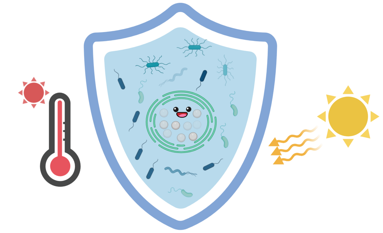 Together, we are strong(er): a bacterial community boosts production of bioplastics by an engineered cyanobacterium