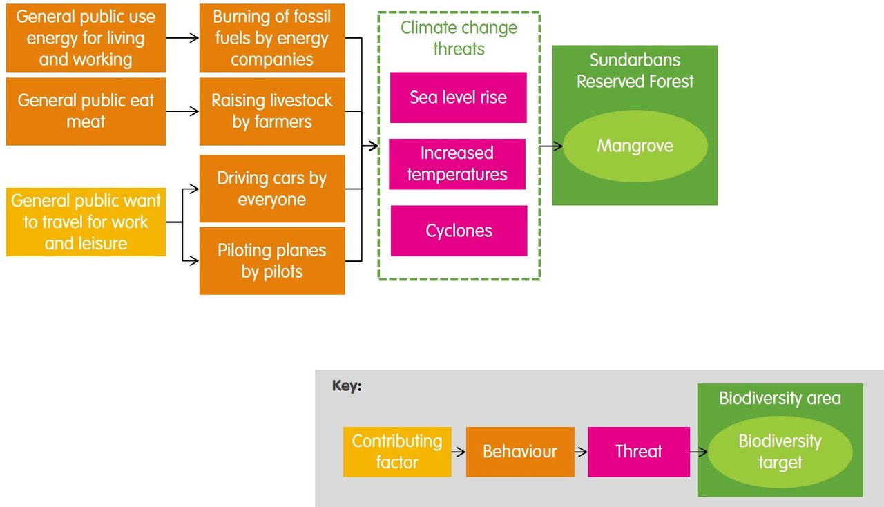 Strategy development: Climate change example