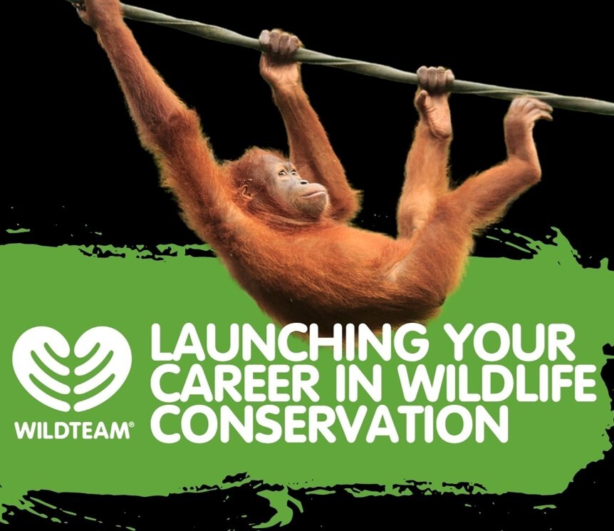 We're building a new free course — and we need your voice in it