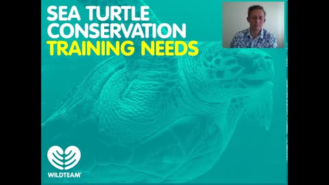 Sea turtle conservation training needs survey: The results