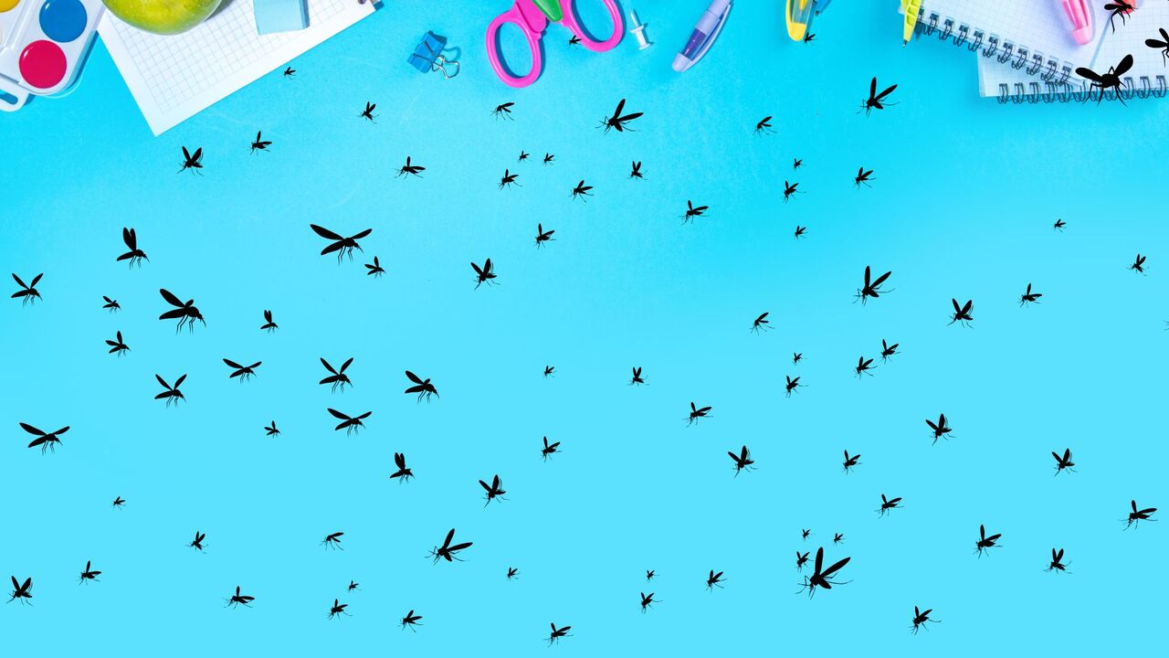 Why School Based Dengue Education Matters