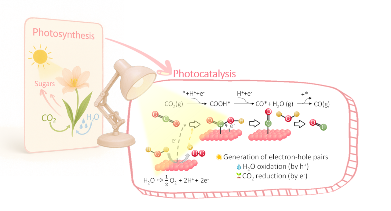 Inspired by Nature: Carbon Nitride Photocatalysts Turning CO2 into Opportunity