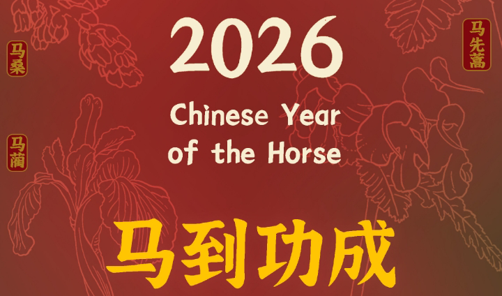 Happy New Year 2026!