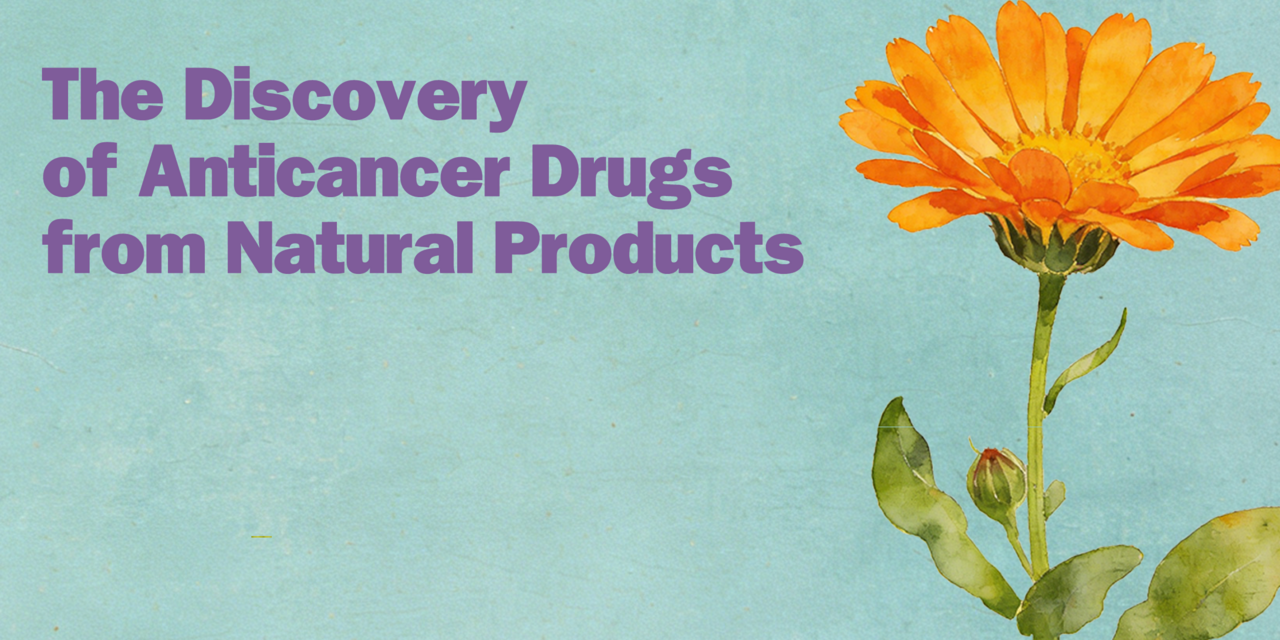  The Discovery of Anticancer Drugs from Natural Products