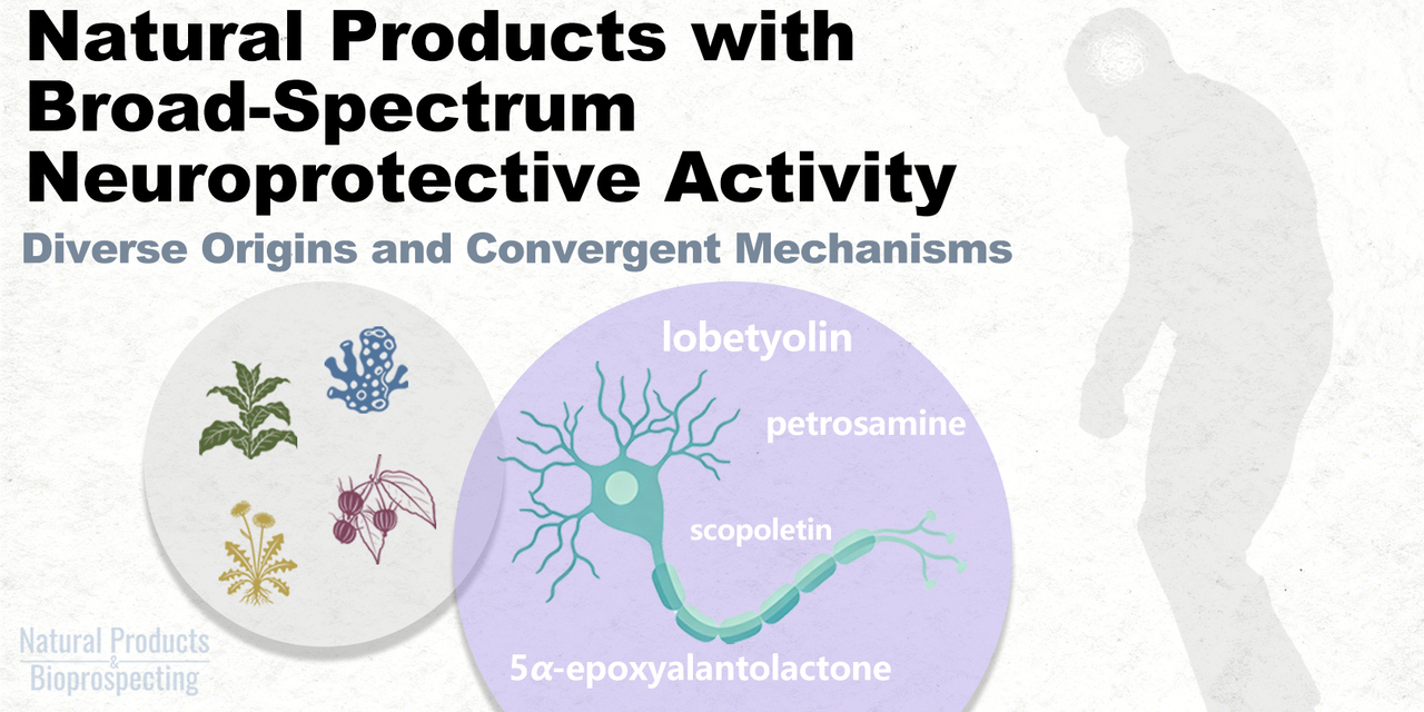 Natural Products with Broad-Spectrum Neuroprotective Activity: Diverse Origins and Convergent Mechanisms