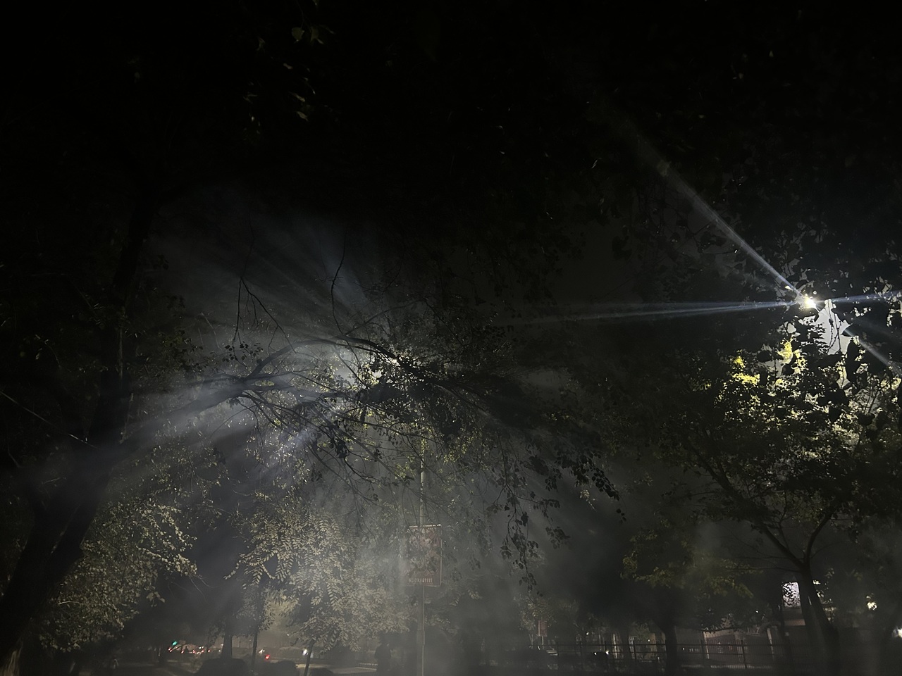 No Light, No Light”: Artificial Intelligence, Moral Authority, and the Ethics of Following in the Dark