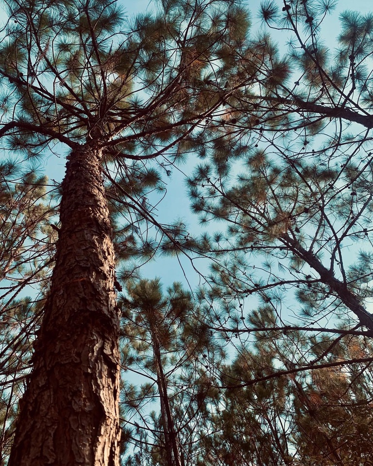 UNSEEN BUT UNSTOPPABLE