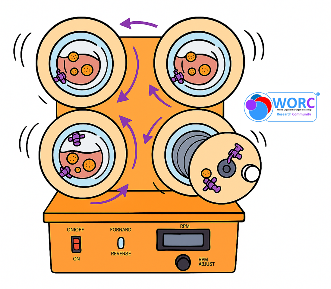 How we simulate microgravity on Earth?