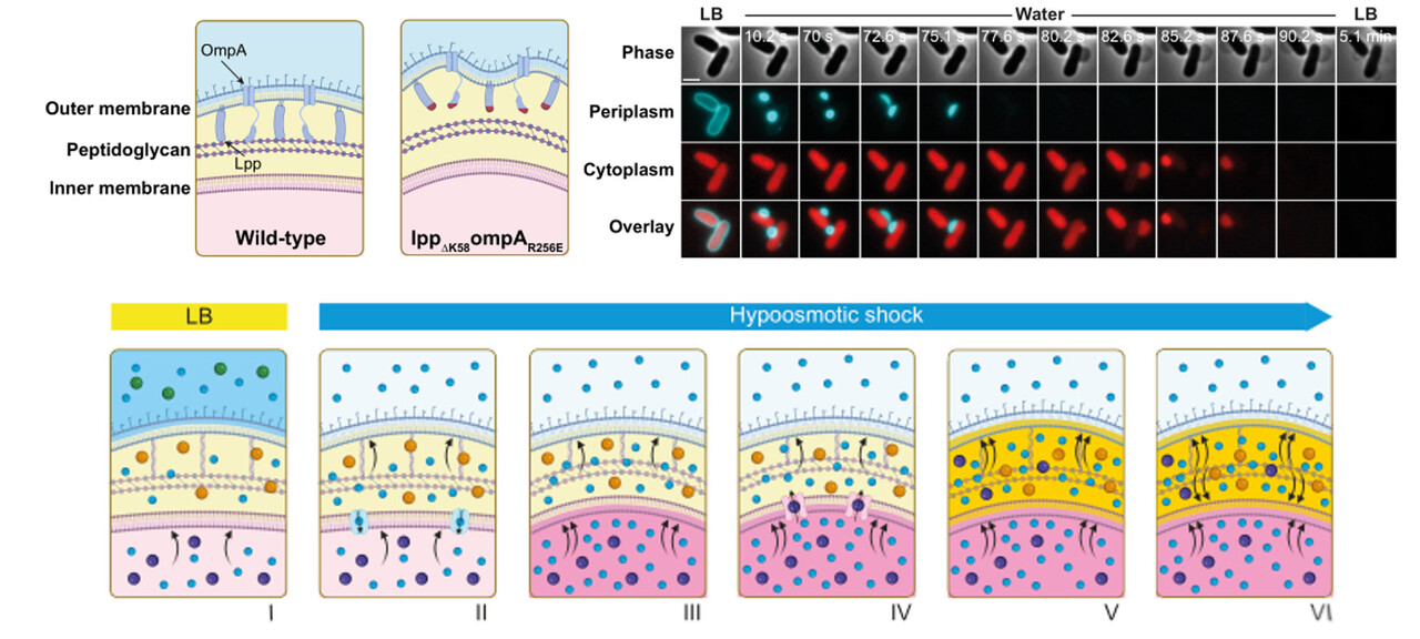 Out Of The Blue, It Came To Me
