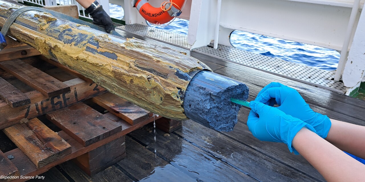 Serpentinite Mud Volcanism: Exploring the Edge of Life Across Space and Time