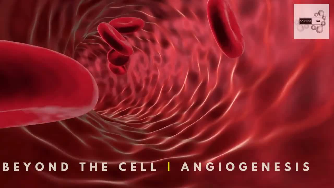 Beyond the Cell: Angiogenesis