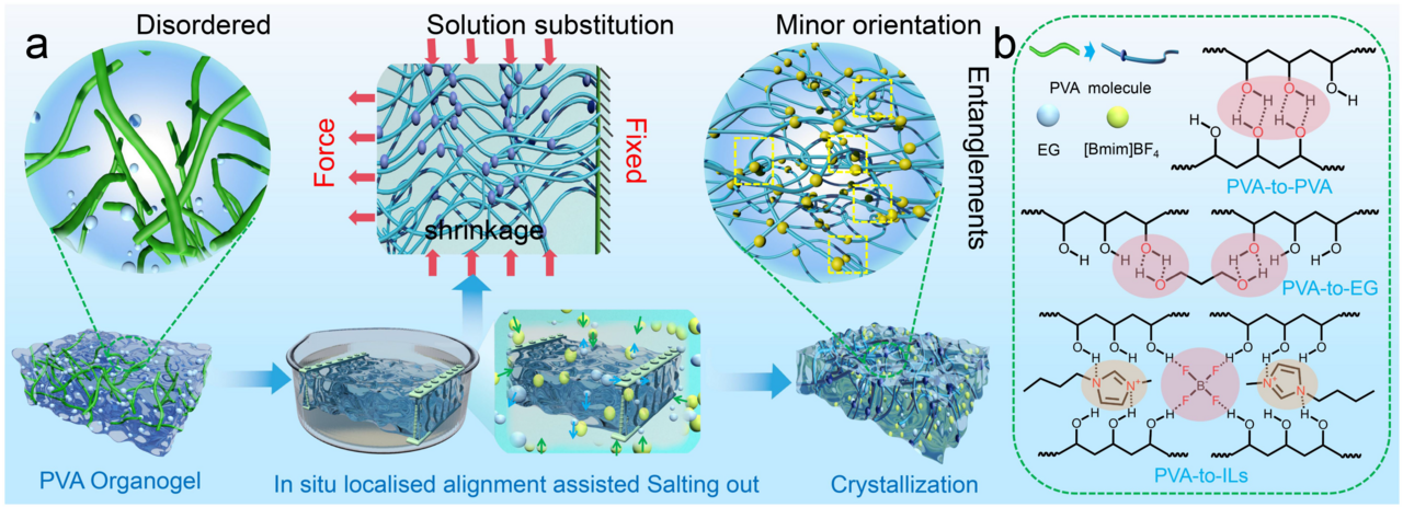 In-situ localised alignment assisted salting-out enhanced ionogels with high strength, toughness and impact resistance