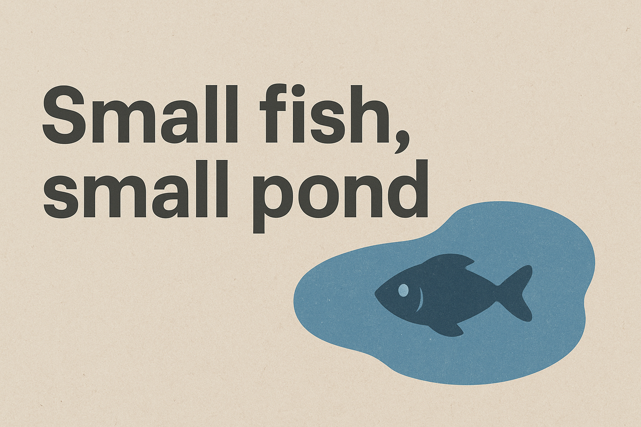 Small fish, small pond: The reality of biomedical early career research in regional Australia