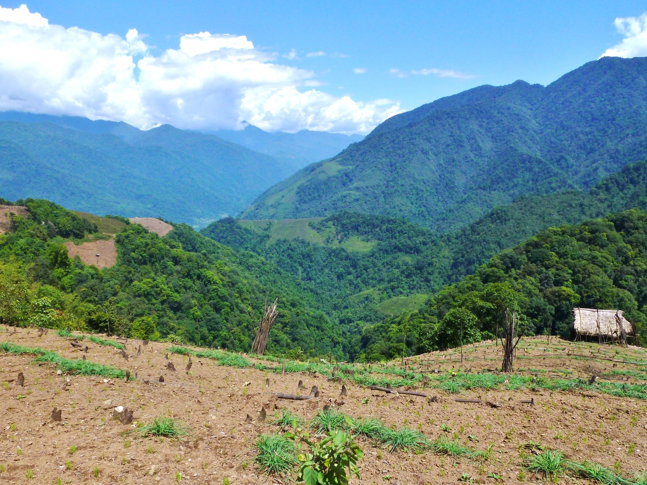 Why an ancient farming method is changing in the Himalayas