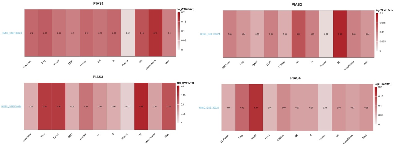 Multi-omics analysis reveals PIAS family gene dysregulation as a driver of head and neck squamous cell carcinoma (HNSC) progression and therapeutic vulnerability