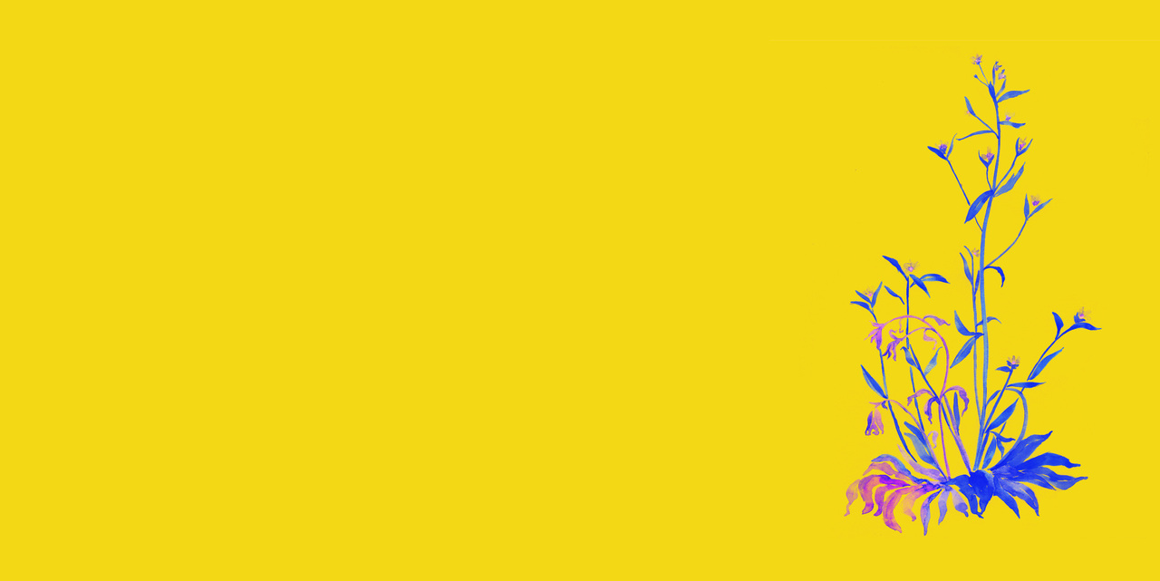 Behind the Paper: Drought recovery in plants triggers a cell-state-specific immune activation