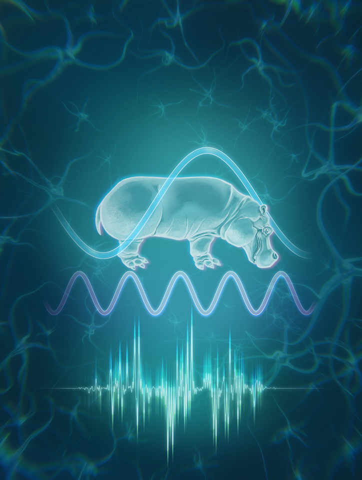The story behind our study on rhythm-based speech processing