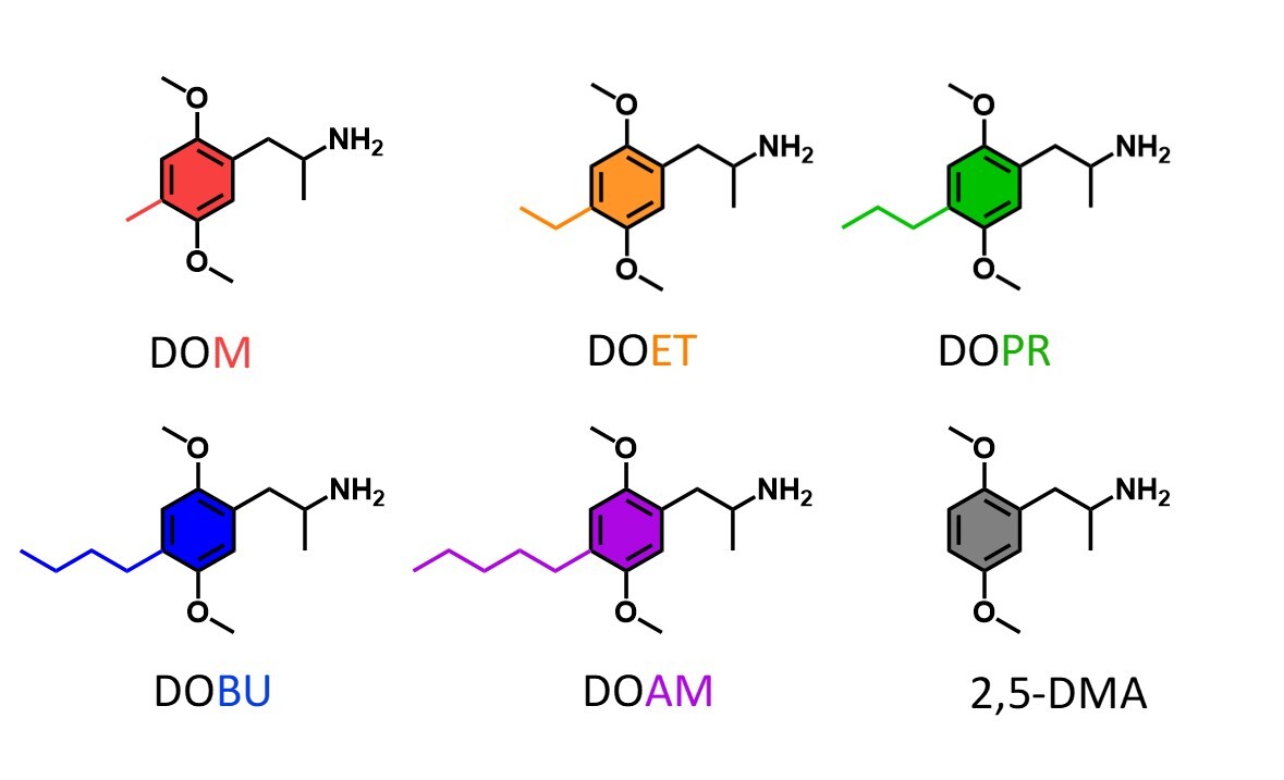 When small changes make a big difference: the pharmacology of 2,5-dimethoxyamphetamines with different 4-alkyl substitutions