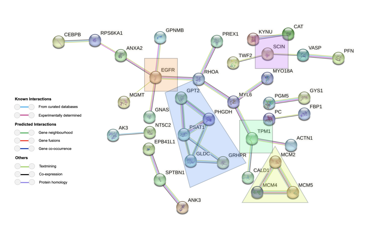 A Multi-Omics Approach to Uncovering Drug Resistance in HER2-Positive Cancer