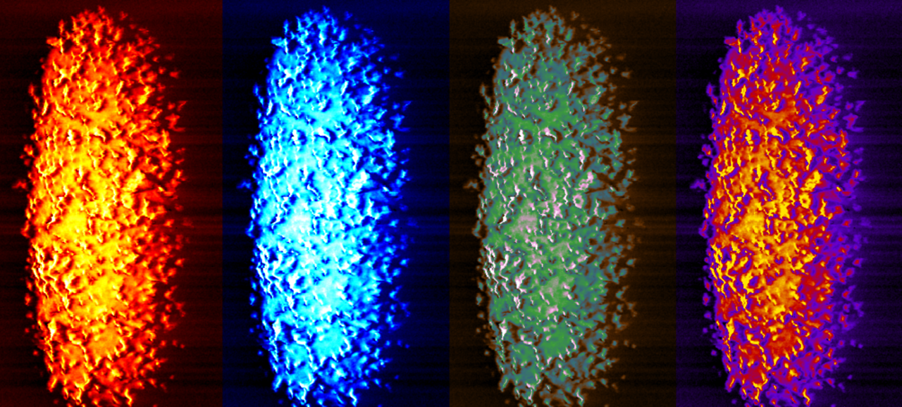 Polymyxins fail to kill dormant bacteria 