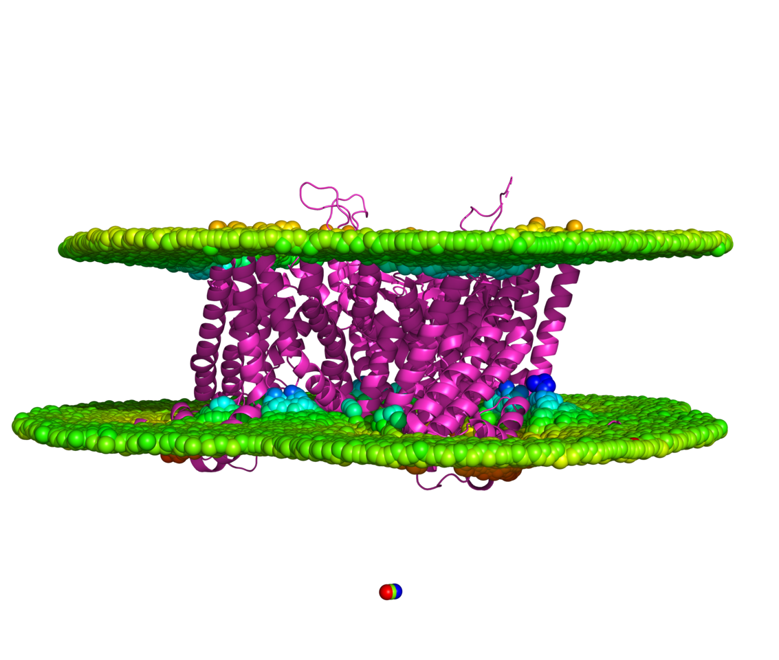 The Soluble Paradox: A Life Beneath the Surface