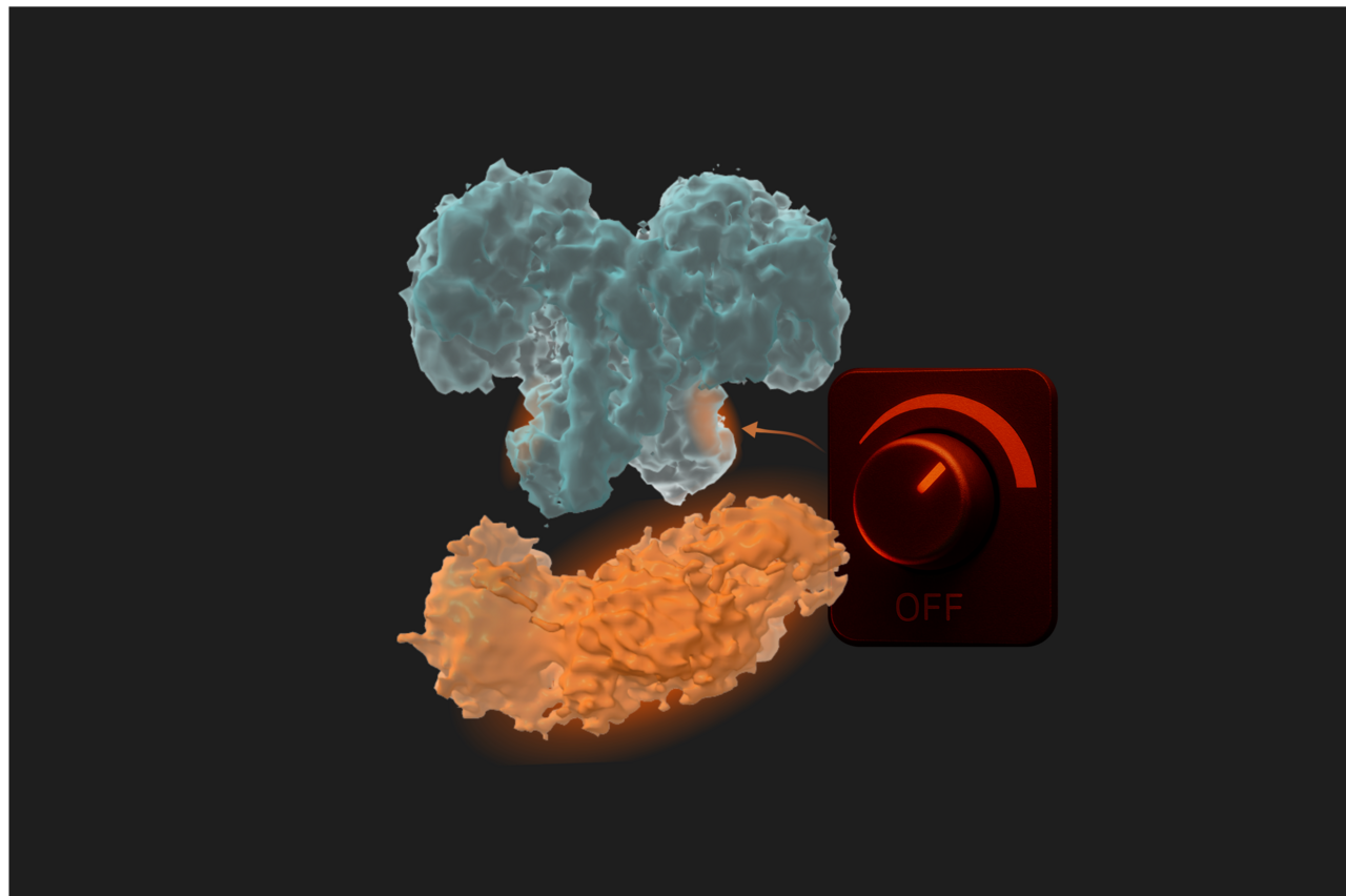 Allosteric Control: OGA’s Built-In Dimmer Switch