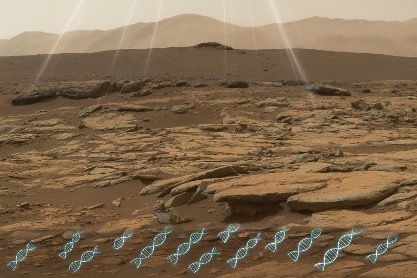 Can DNA survive on Mars? 