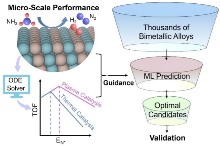 Interpretable Machine Learning-Guided Plasma Catalysis for Hydrogen Production
