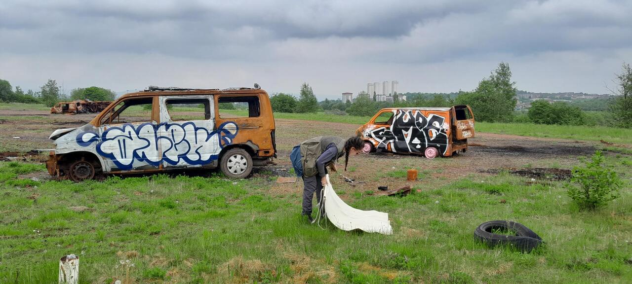 Why do some cities have more ticks than others?