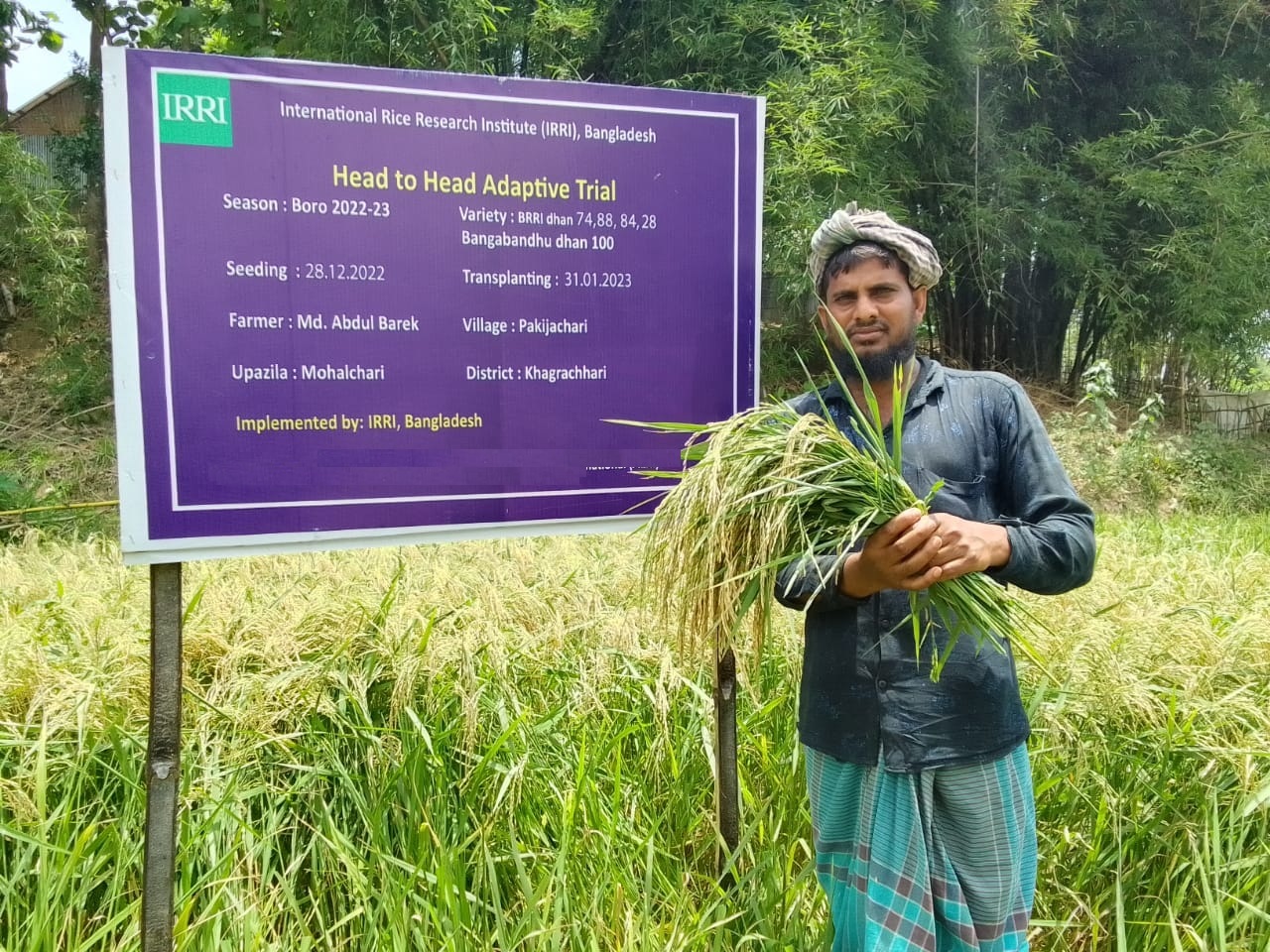 Unlocking Farmers’ Satisfaction with High-Yielding Rice Varieties: Evidence from Bangladesh