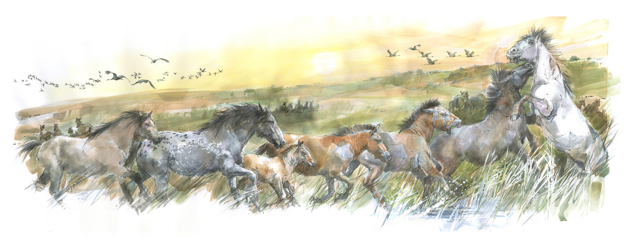 Ancient DNA from 300,000-year-old horses