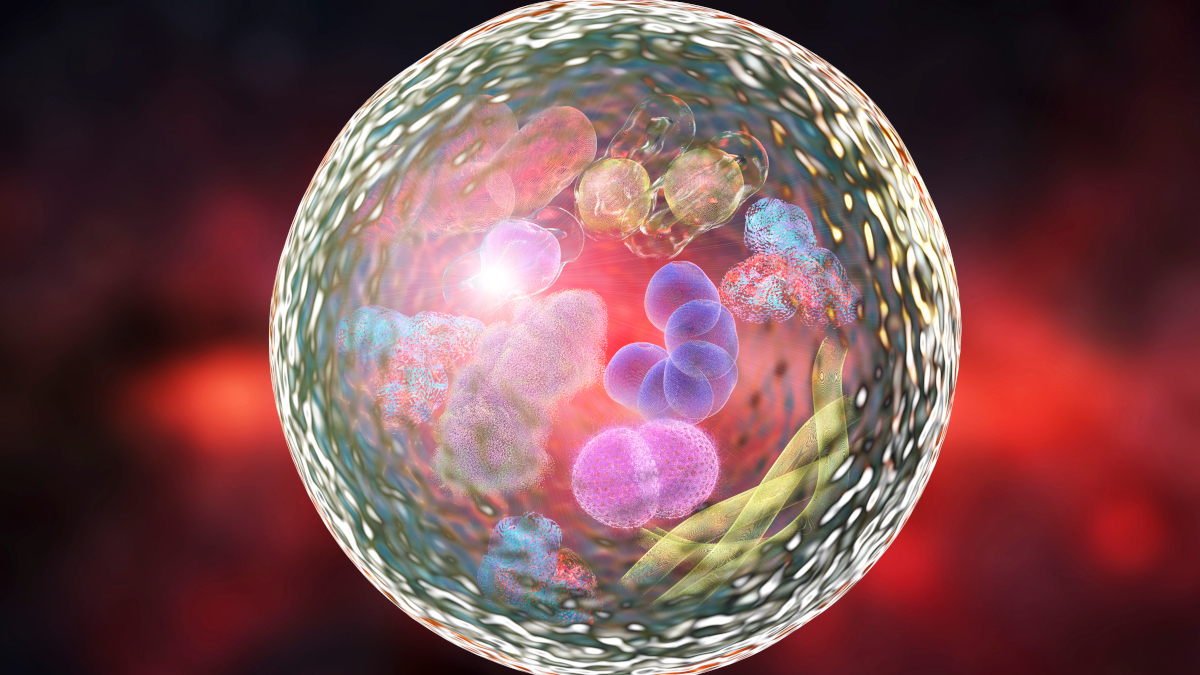 Call for Papers: Autophagy