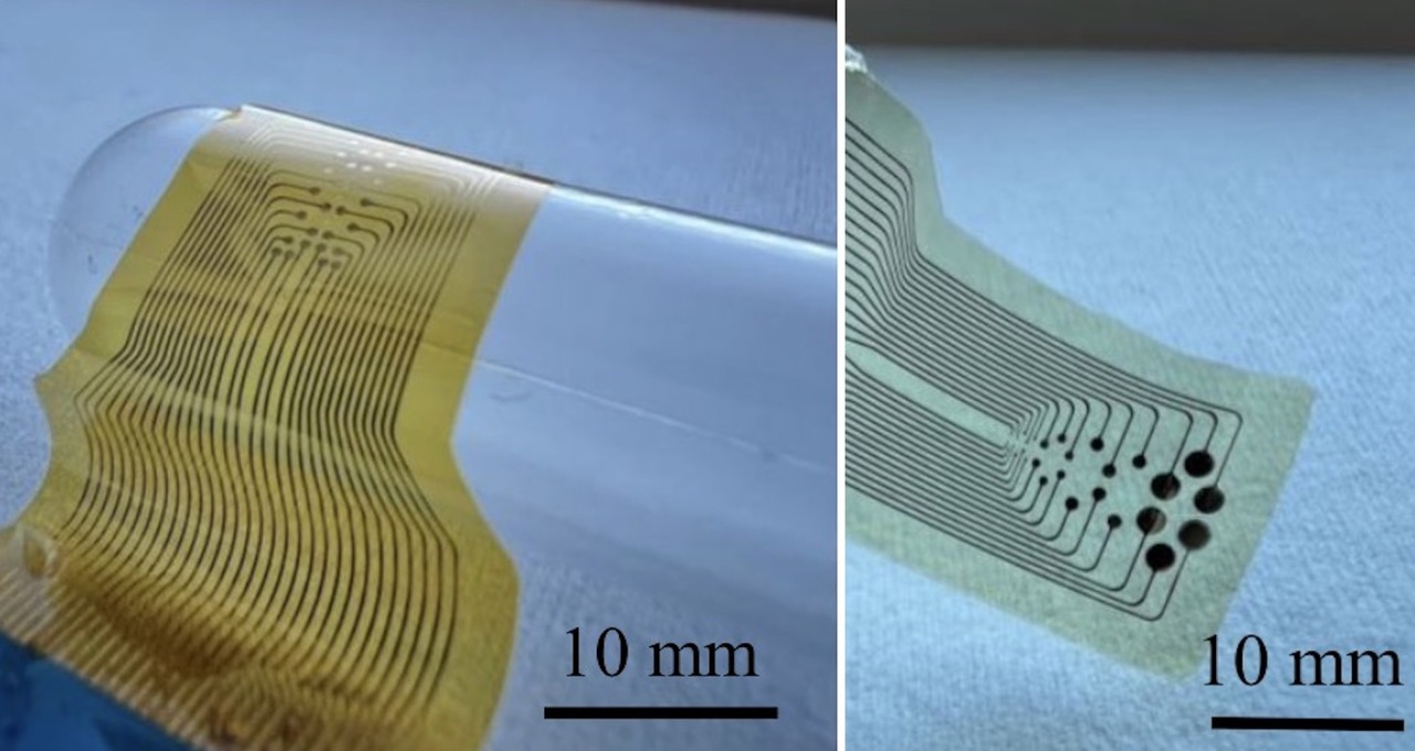 PEDOT:Polydopamine - High-performance bioelectrodes