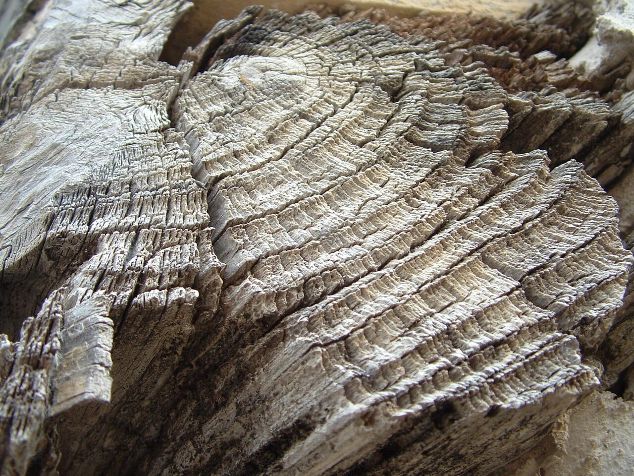 Working with or for: The fine line between leadership and authority