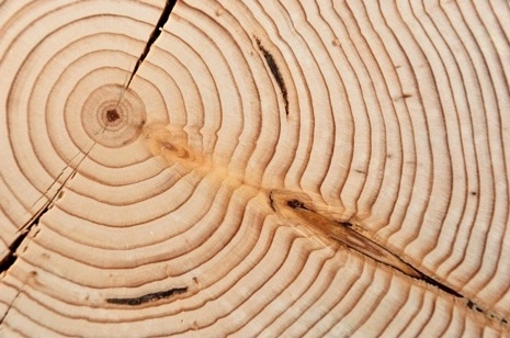 What is success in academia? Not just time served