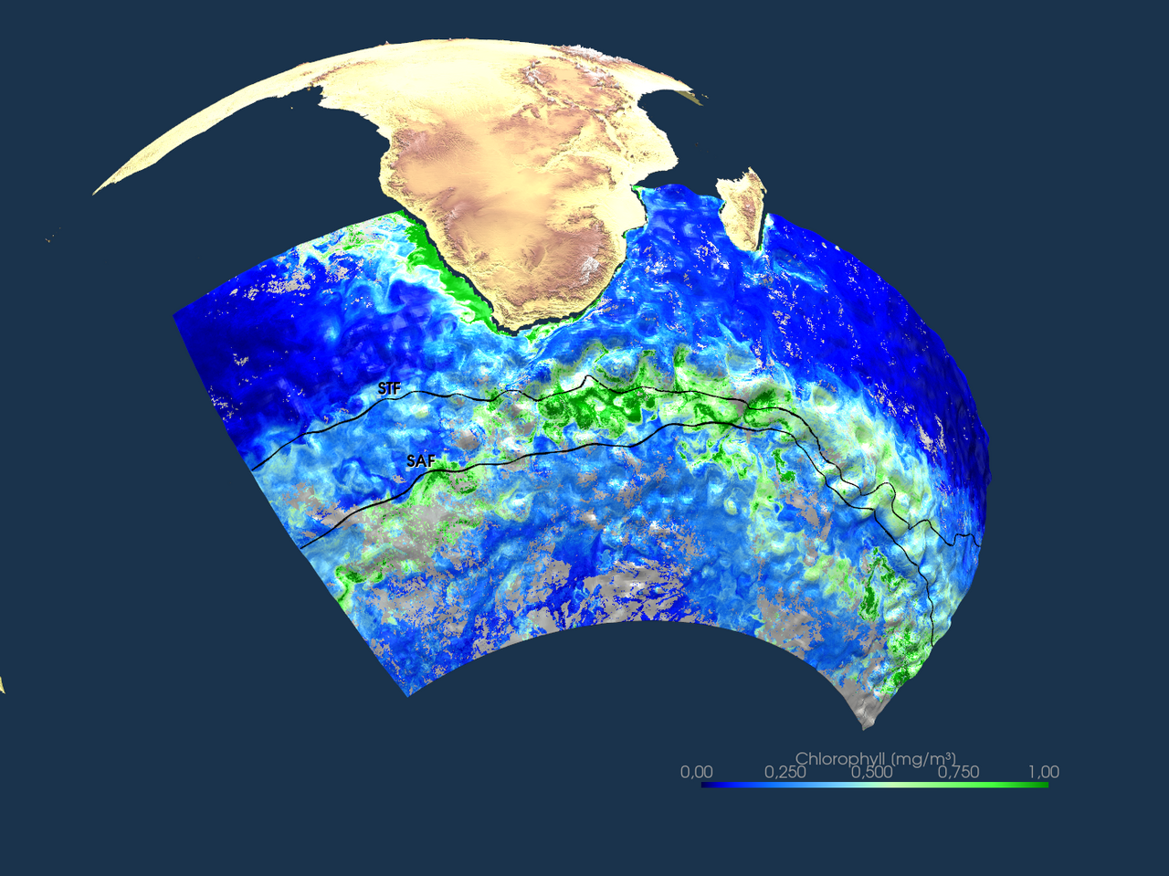 The Southern Agulhas Leakage: a source of iron for the Southern Ocean