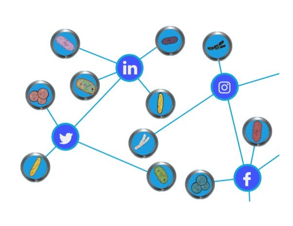 The social network of microbes - how interdependencies shape communities