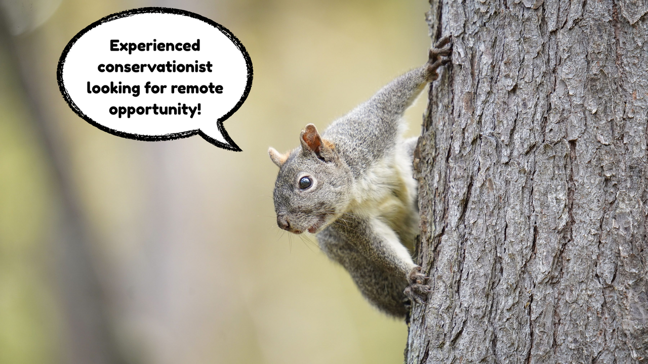 Conservation Professional looking for work!