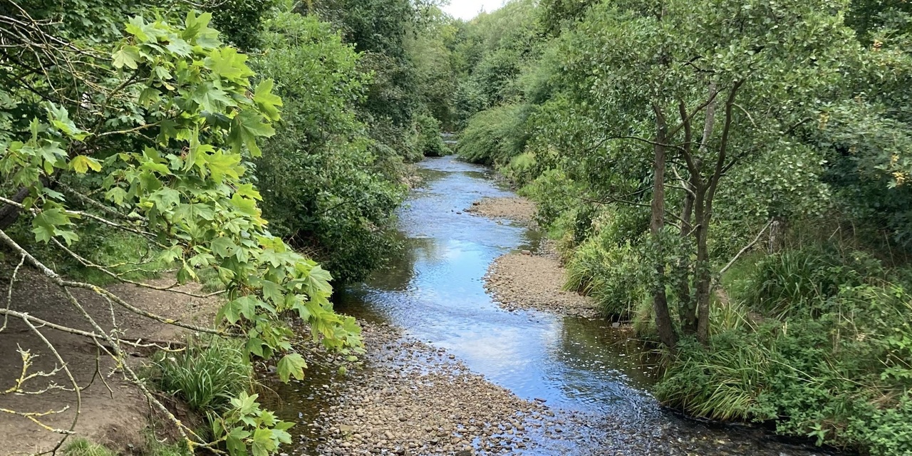 Uncovering the hidden microbial life of river biofilms