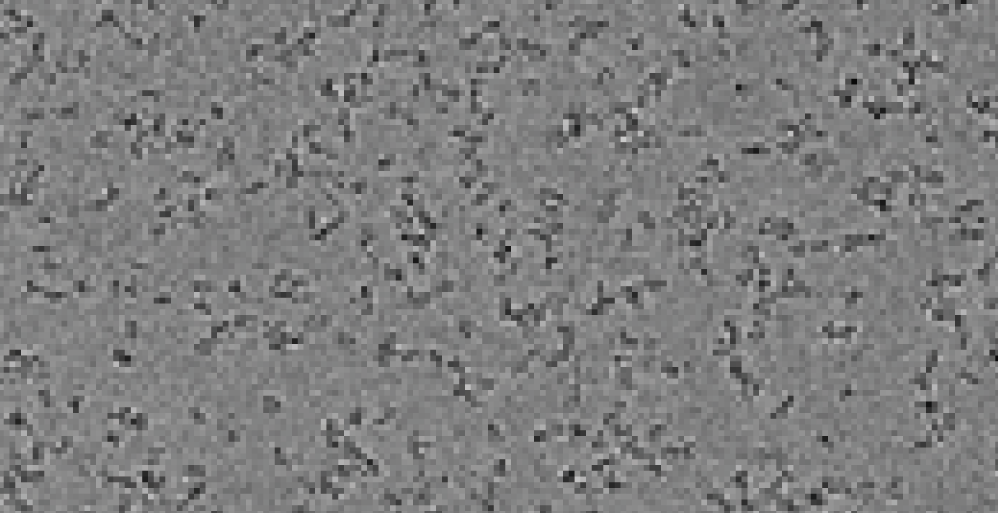 Catching RNA in the Act of Folding