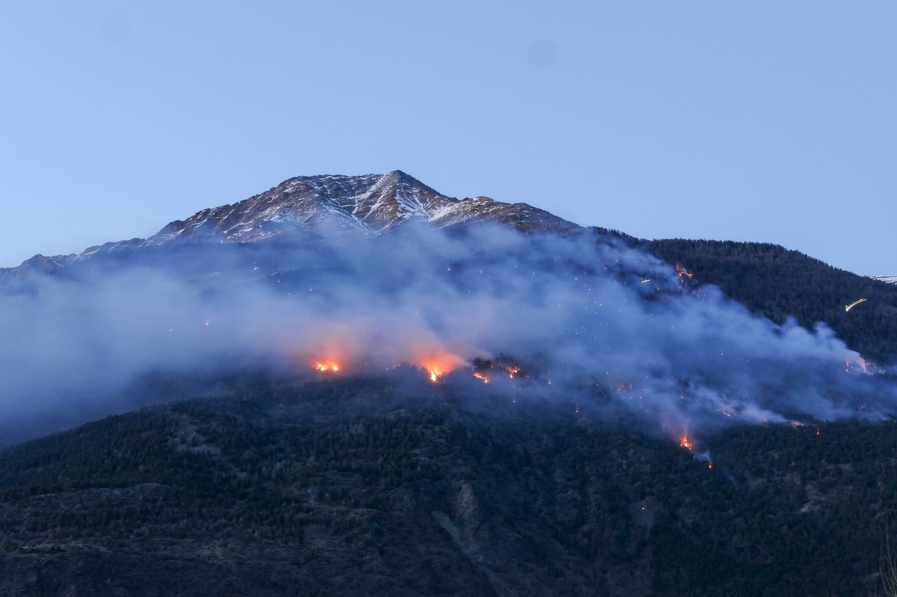 Flavors of wildfire preconditions