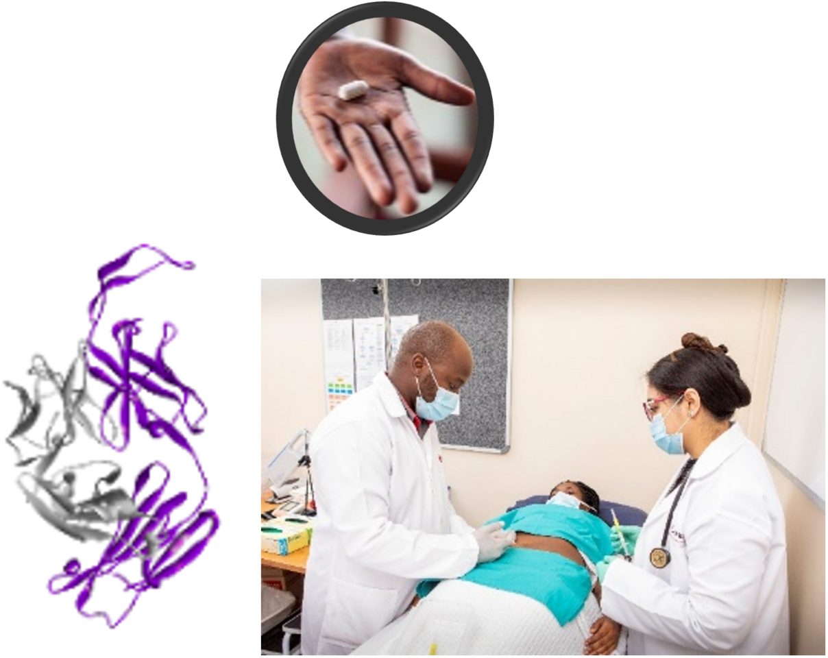 A World AIDS Day Journey with Broadly Neutralizing Antibodies: Behind Our Review