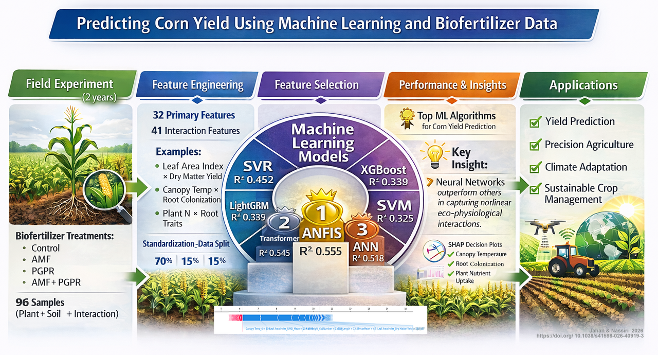An Interdisciplinary ML Approach to Predict Corn Yield Under Biofertilizer Use: Uncovering Ecophysiological Secrets for Sustainable Farming