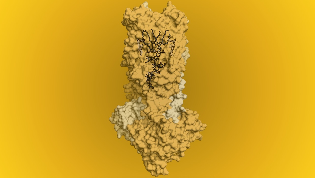 Tripping up transport across bacterial membranes