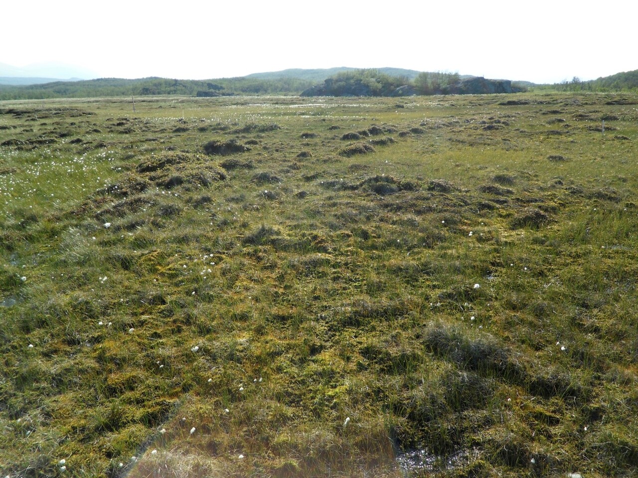 Unearthing the Viral Secrets of a Changing Landscape