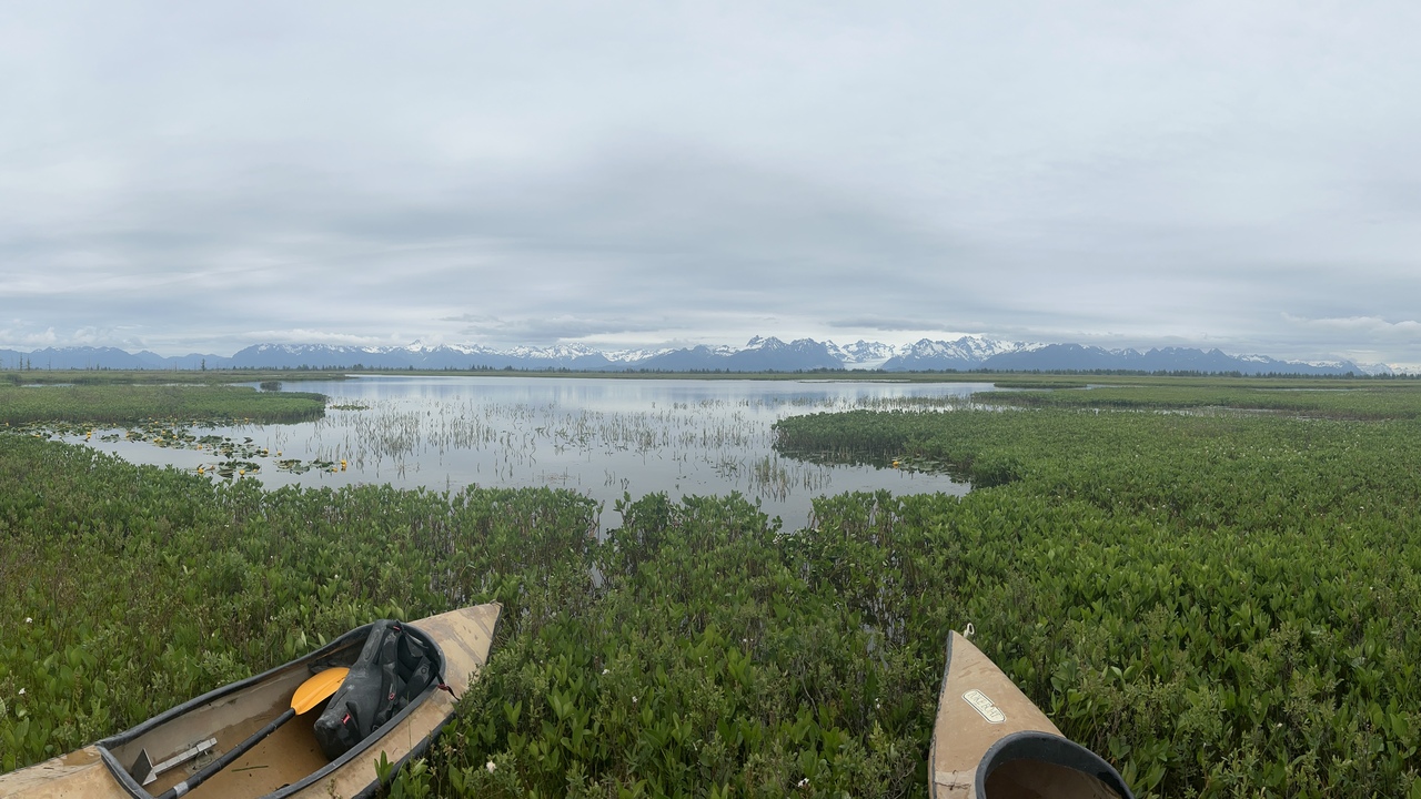 From Pandemic Pivots to Pond Predictions:  Forecasting the Future of Alaska’s Coastal Wetlands
