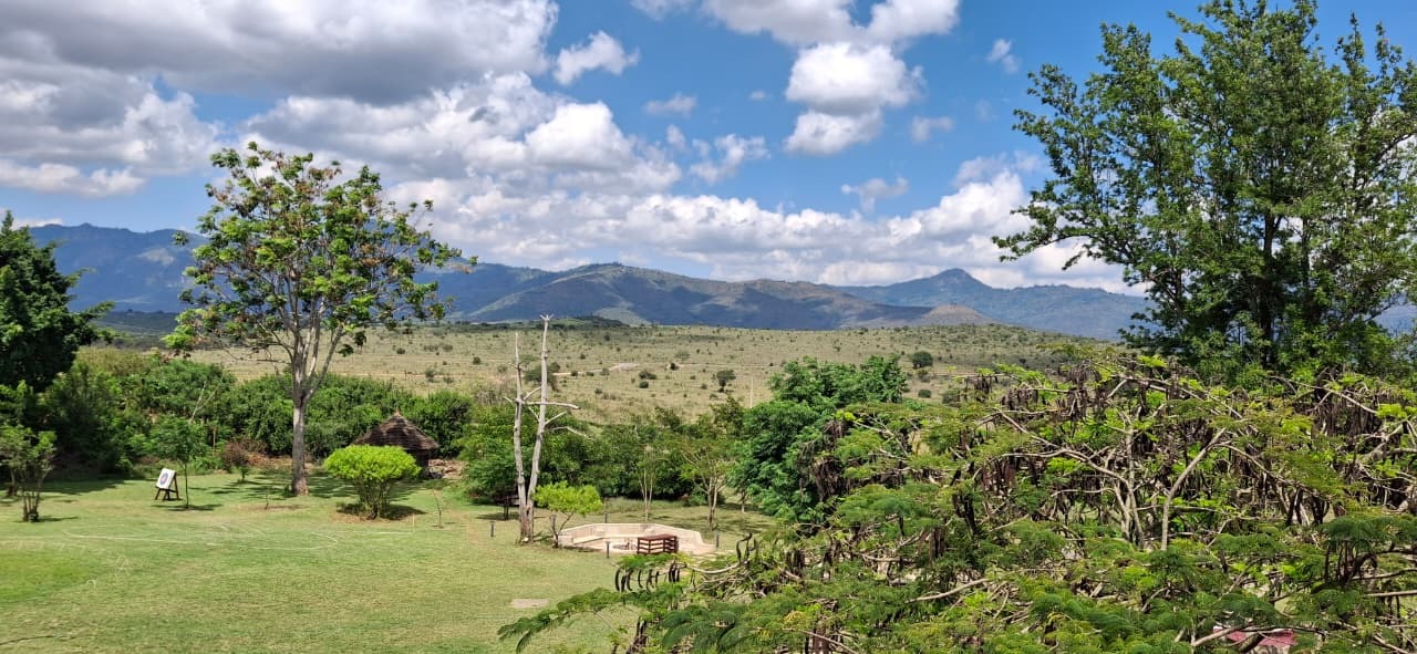 Hello! My name is Ivy Mugo